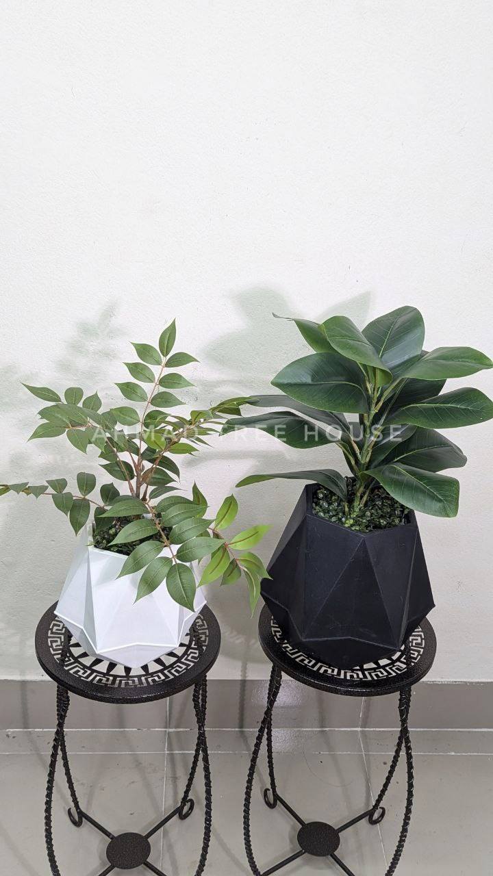 Geometric Duo Planter Set (2 Tubs + 2 Plants) at 2550 tk only