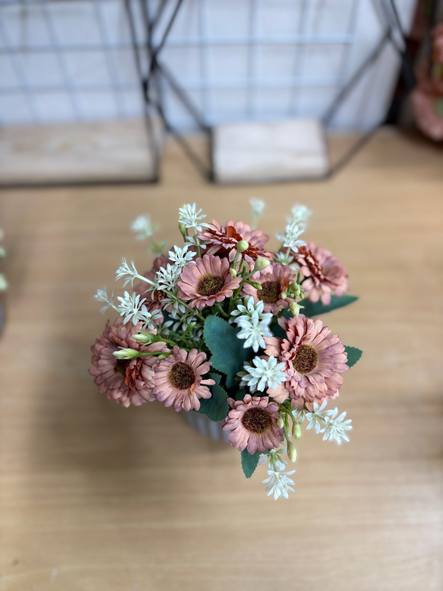 4 Plants Combo Offer – Only 950 TK