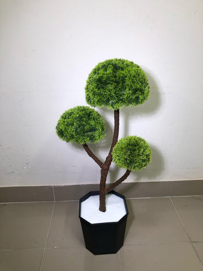 ATH-3FT-Topiary-Tree-Bonsai-007