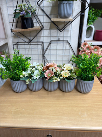 3 Flower + 2 Green Plants Combo – 1100 TK