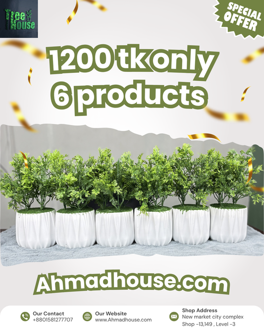 6-Piece Ultimate Bundle Deal | Only 1200 TK – Order Now or Never!