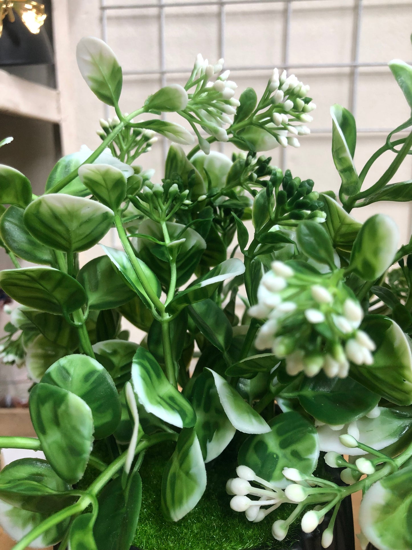 4pcs Artificial Plant Combo Offer – Only 950 BD