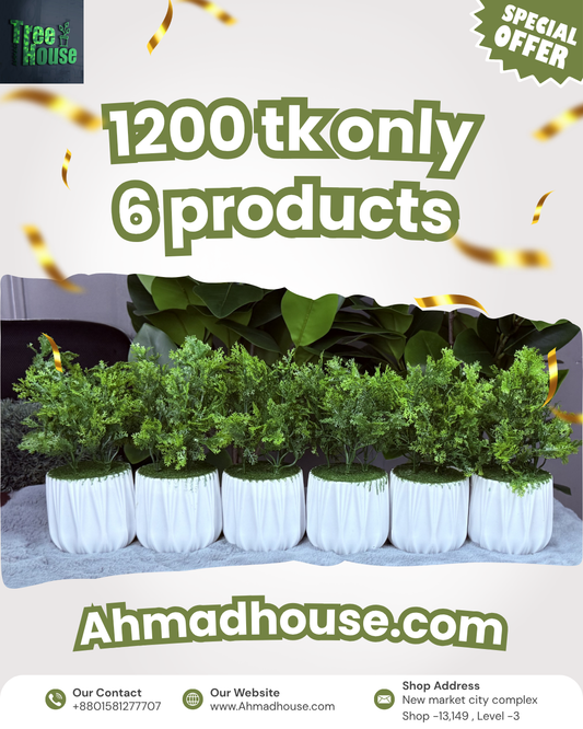 6-Piece Ultimate Bundle Deal | Only 1200 TK – Order Now or Never!