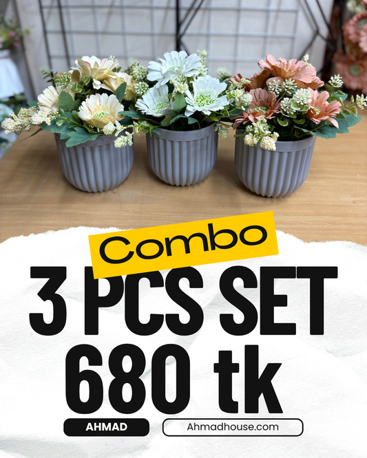 3 Flower Plants Combo – 680 TK