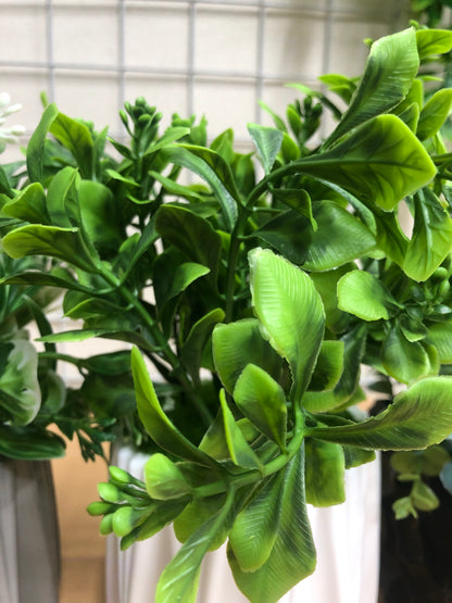 4pcs Artificial Plant Combo Offer – Only 950 BD