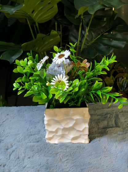 6 Pieces Flower Combo. 1200 Taka. Free Delivery.