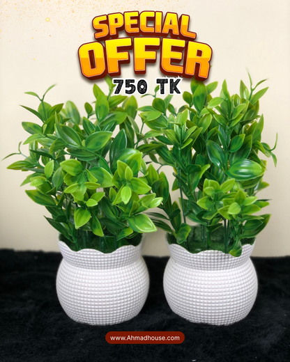 2-Piece Artificial Plant Pot Combo Set | Home & Office Decoration – Ahmad Tree House