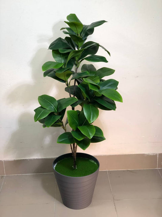ATH Ficus Grace with Ash planter