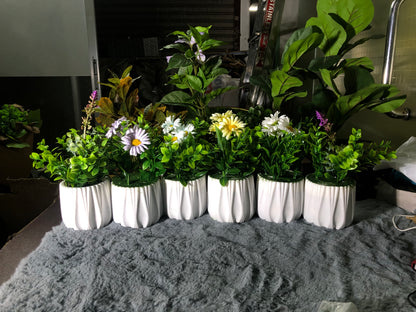 6 Pieces Flower Combo. 1200 Taka. Free Delivery.