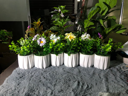 6 Pieces Flower Combo. 1200 Taka. Free Delivery.