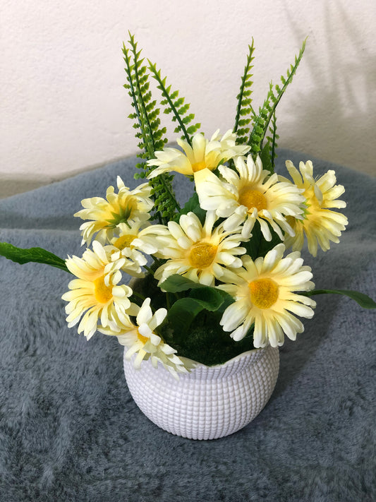 Premium 4-Color Flower Combo with White Tubs – Limited Offer @ 1050 TK