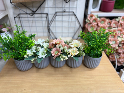 3 Flower + 2 Green Plants Combo – 1100 TK