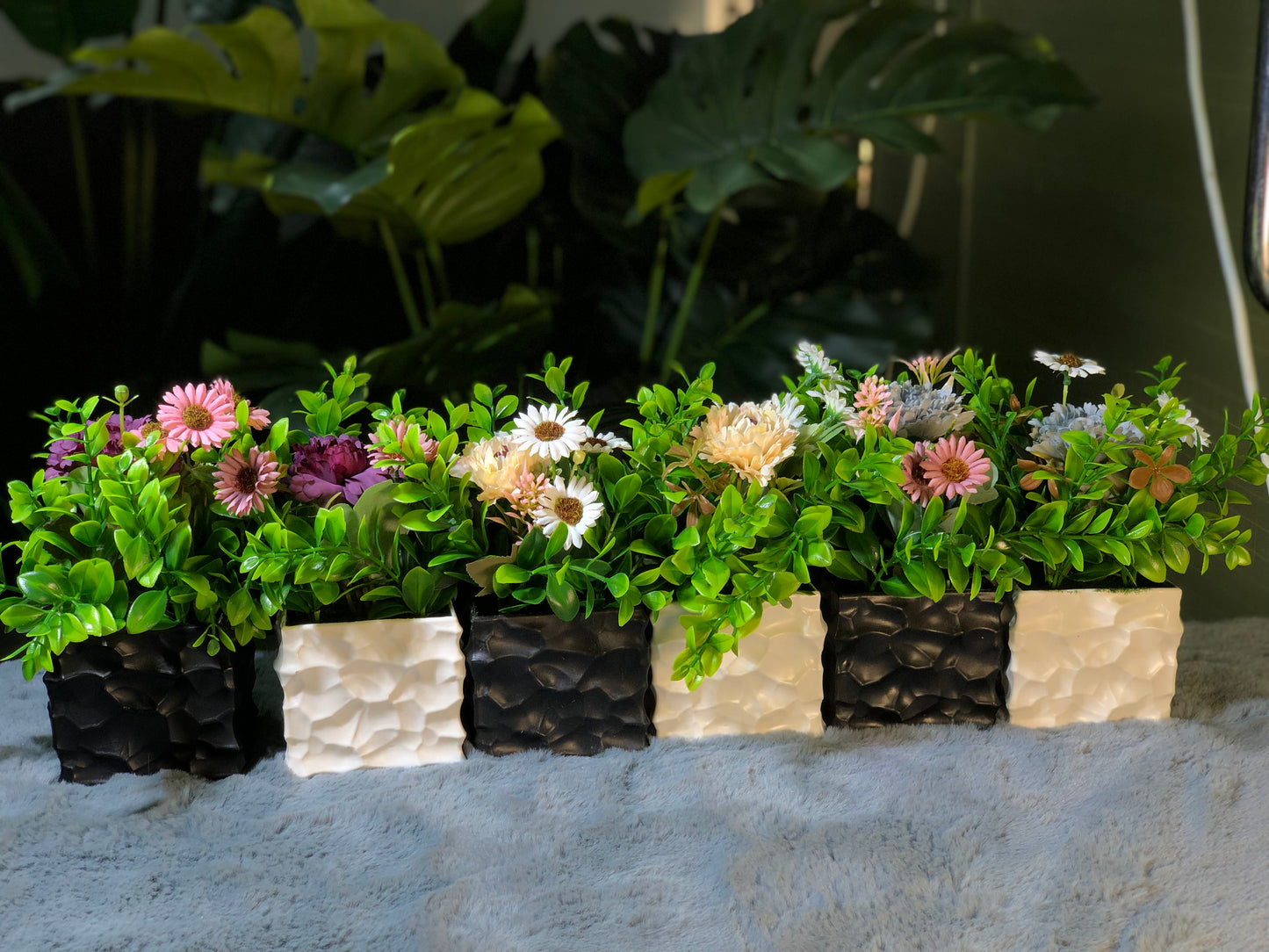 6 Pieces Flower Combo. 1200 Taka. Free Delivery.