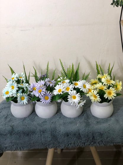 Premium 4-Color Flower Combo with White Tubs – Limited Offer @ 1050 TK