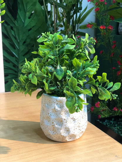 🌿 4 PCS Small Artificial Plants Combo – Only 1050 TK!