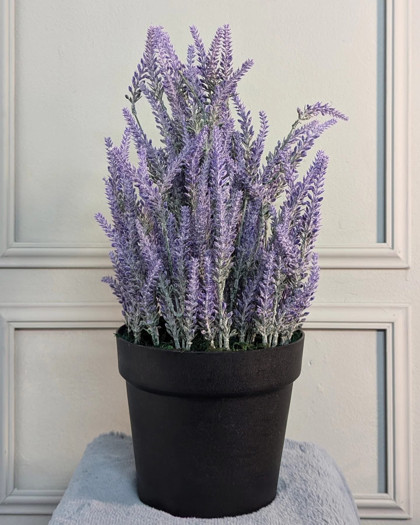 Ath-Lavender-with-regular-pot