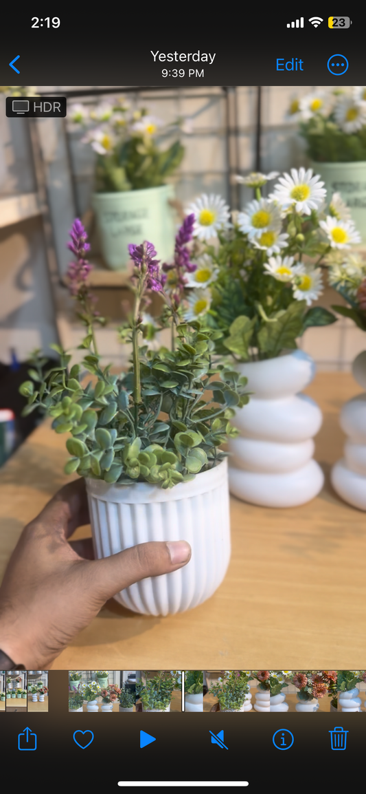 Lavender–Green Premium plants -flower Combo Set (4 Items + 2 Vase) – 950 T