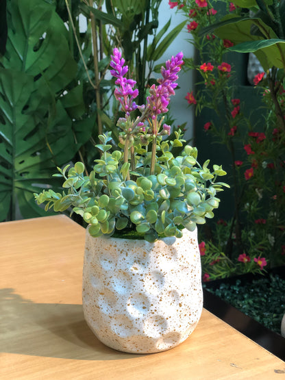 🌿 4 PCS Small Artificial Plants Combo – Only 1050 TK!