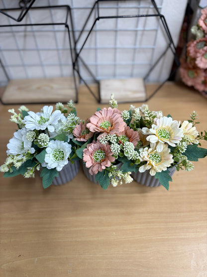 3 Flower Plants Combo – 680 TK