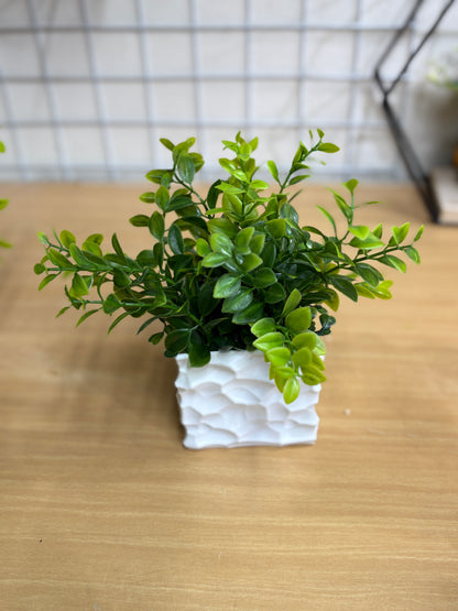4pcs Green Artificial Plants Combo | Refresh Your Space – Only 950 TK