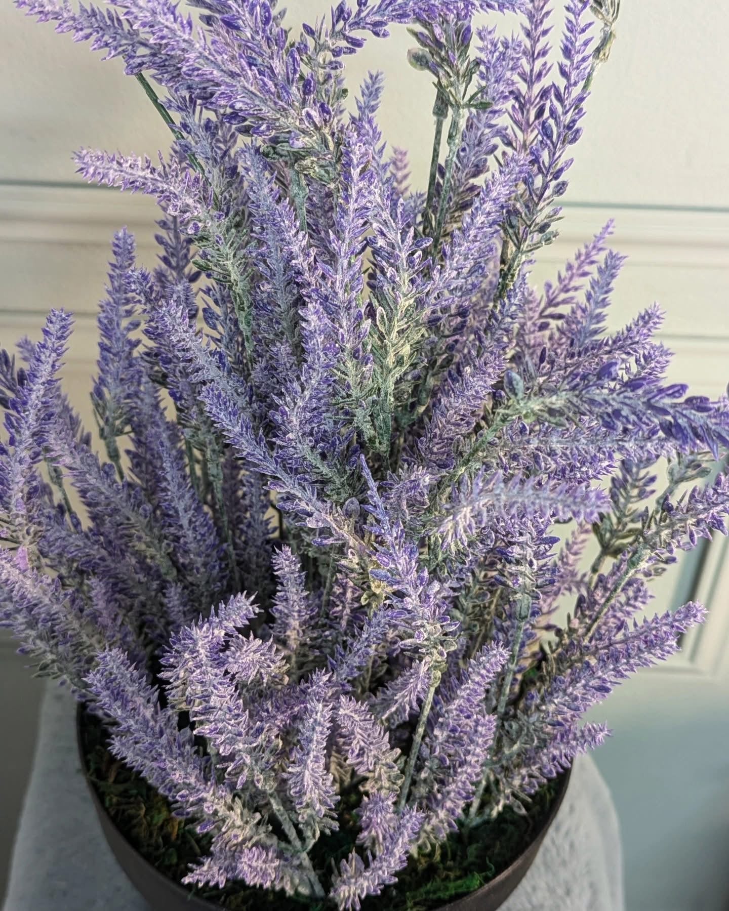 Ath-Lavender-with-regular-pot