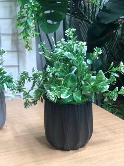 4pcs Artificial Plant Combo Offer – Only 950 BD