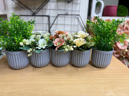 3 Flower + 2 Green Plants Combo – 1100 TK