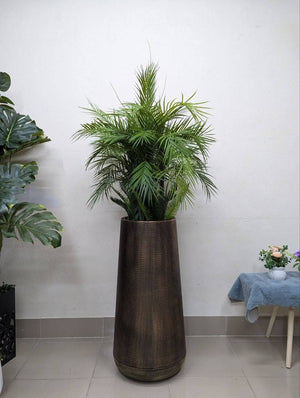 Areca Palm in Antique Bronze