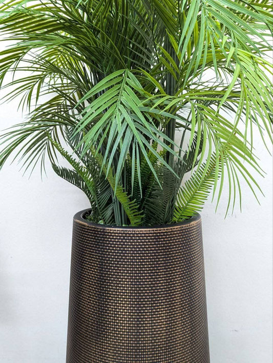 Areca Palm in Antique Bronze