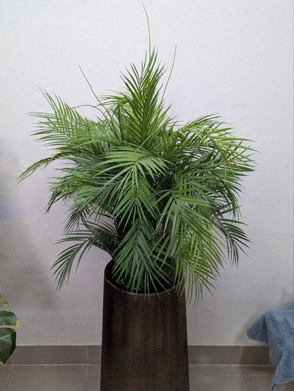 Areca Palm in Antique Bronze