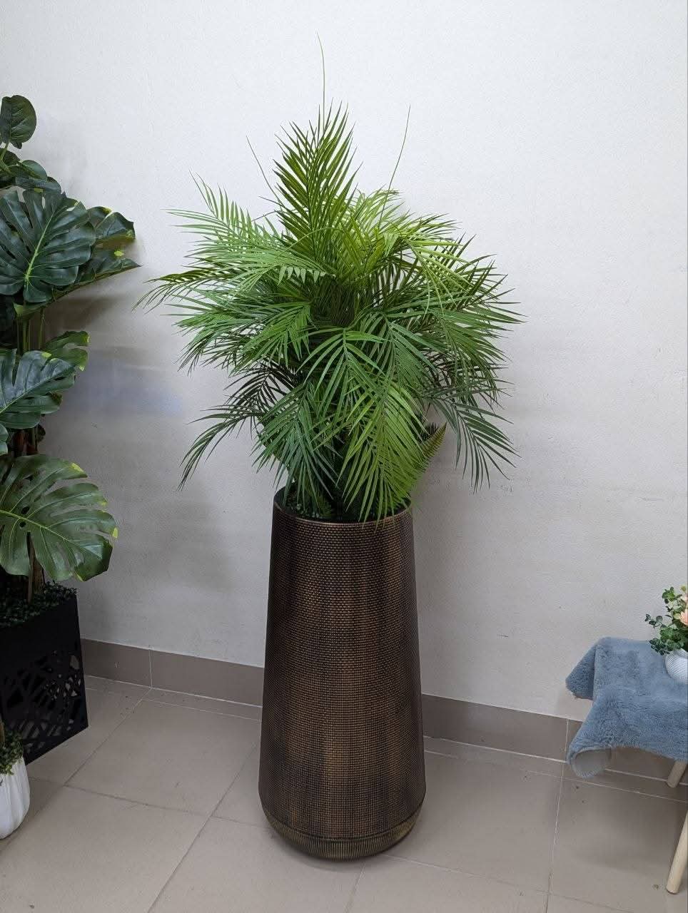 Areca Palm in Antique Bronze