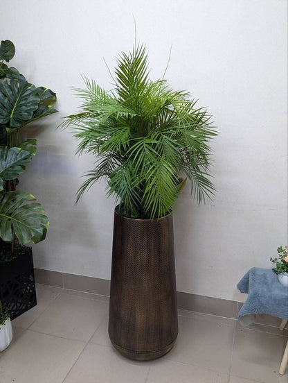 Areca Palm in Antique Bronze