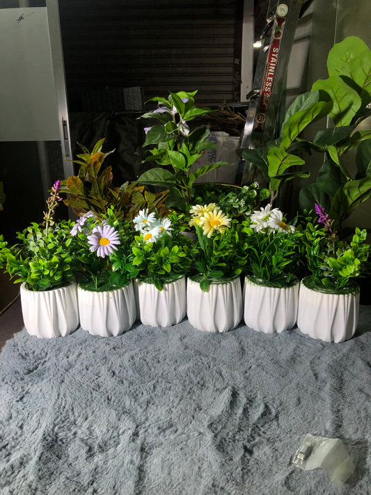 6 Pieces Flower Combo. 1200 Taka. Free Delivery.