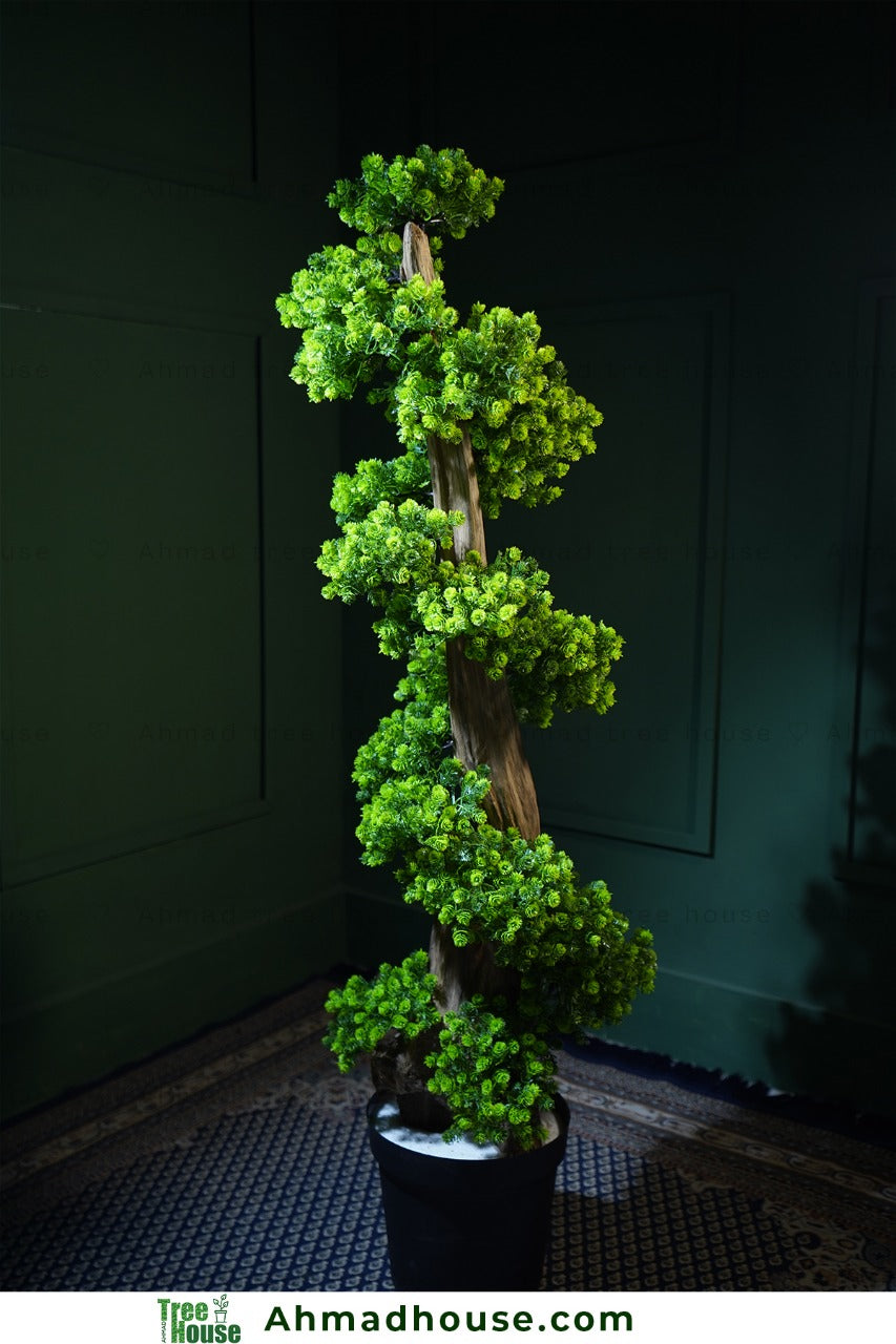 Bonsai