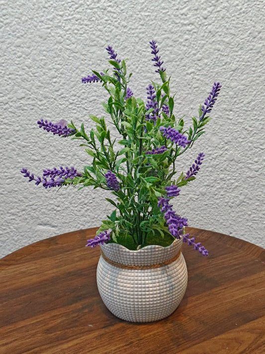 Lavender mini pot