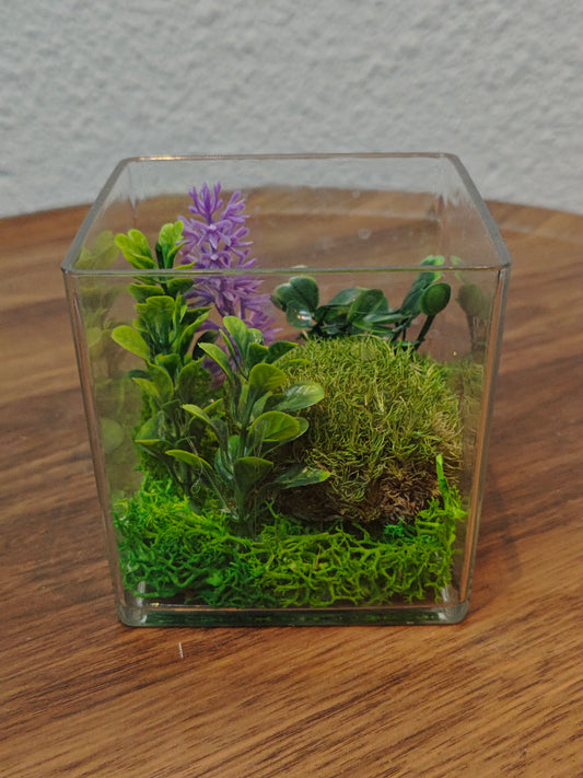 Terrarium