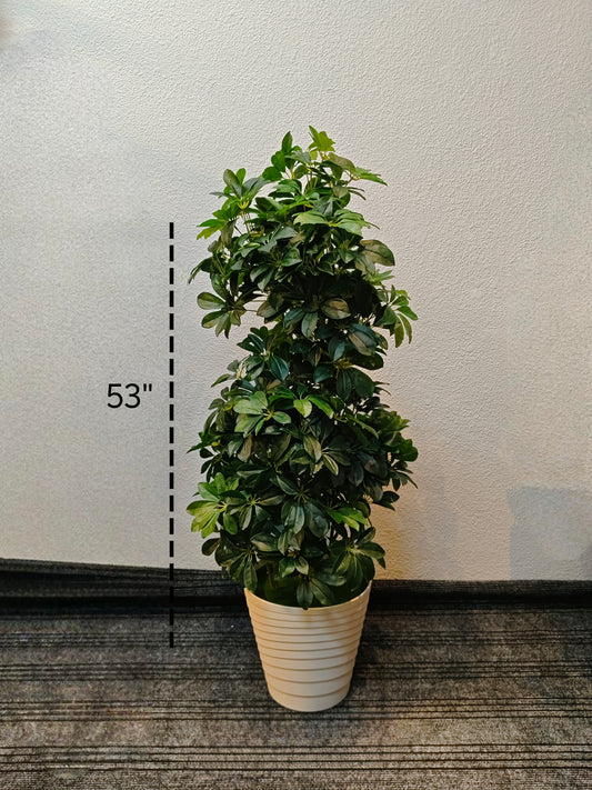 Artificial Dwarf umbrella tree
