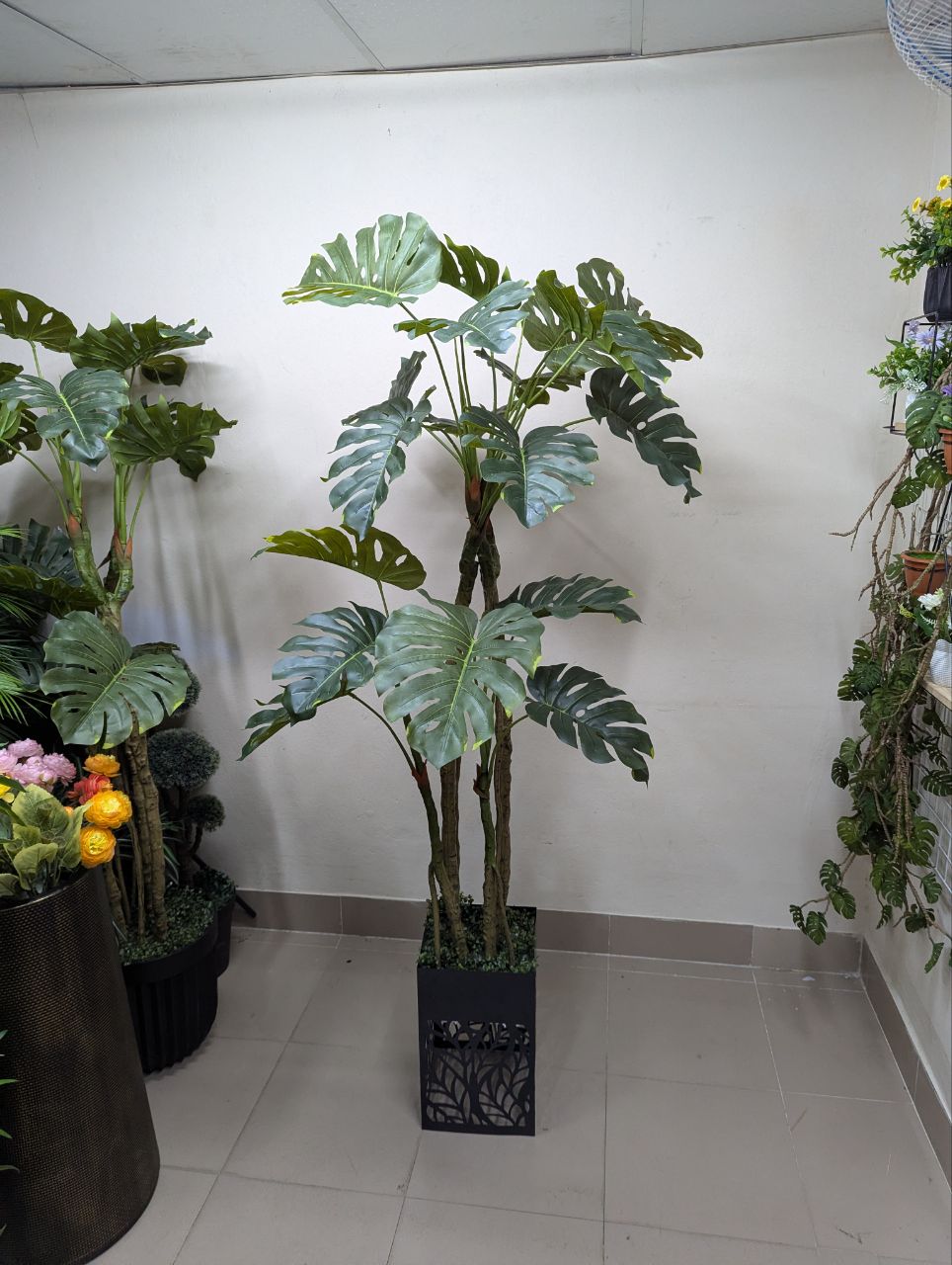 Tropical Monstera Deliciosa with Premium Laser-Cut Pedestal