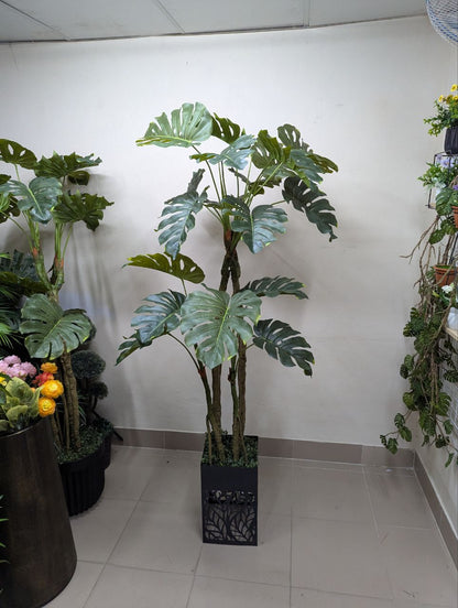Tropical Monstera Deliciosa with Premium Laser-Cut Pedestal