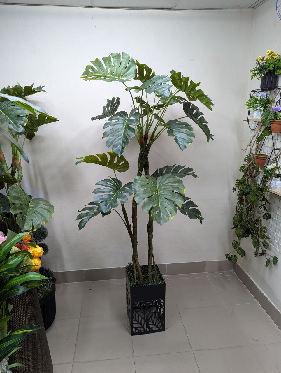 Tropical Monstera Deliciosa with Premium Laser-Cut Pedestal