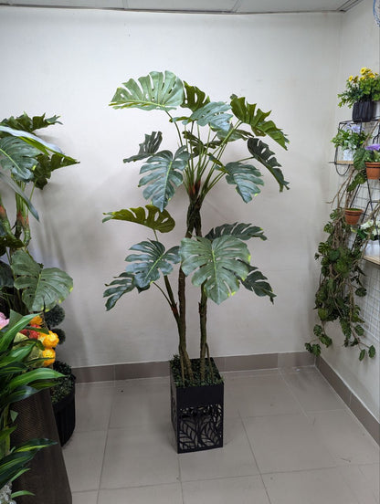Tropical Monstera Deliciosa with Premium Laser-Cut Pedestal