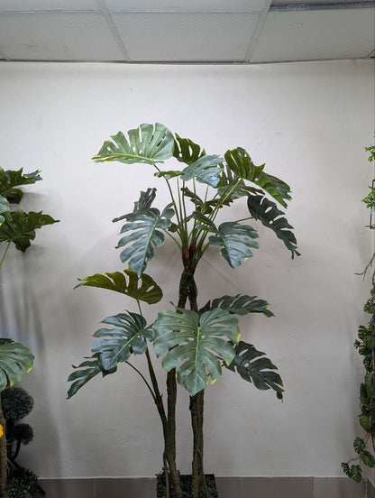 Tropical Monstera Deliciosa with Premium Laser-Cut Pedestal