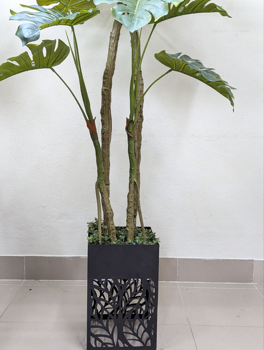 Tropical Monstera Deliciosa with Premium Laser-Cut Pedestal