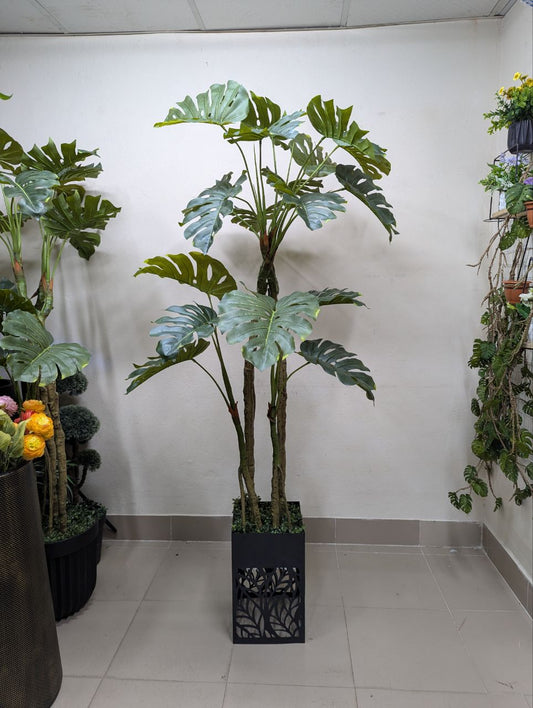 Tropical Monstera Deliciosa with Premium Laser-Cut Pedestal