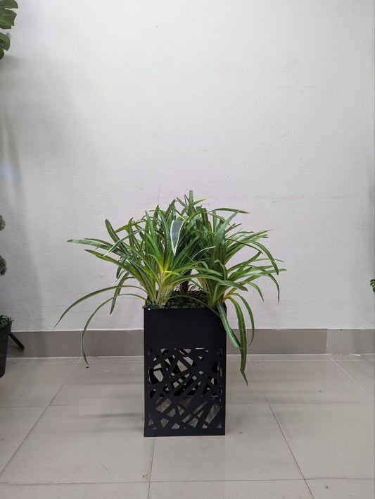 Geometric Luxe Artificial Foliage Display