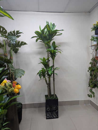 Towering Emerald 8-Head Spider Tree with Laser-Cut Pedestal