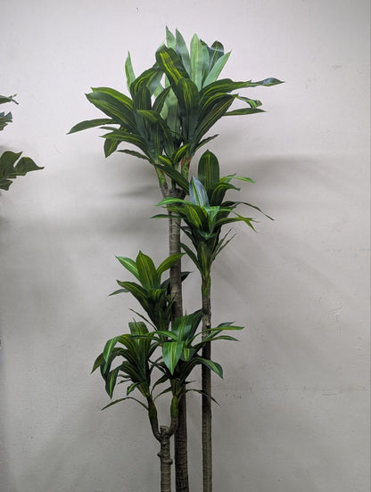 Towering Emerald 8-Head Spider Tree with Laser-Cut Pedestal