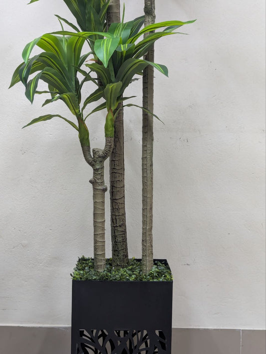 Towering Emerald 8-Head Spider Tree with Laser-Cut Pedestal