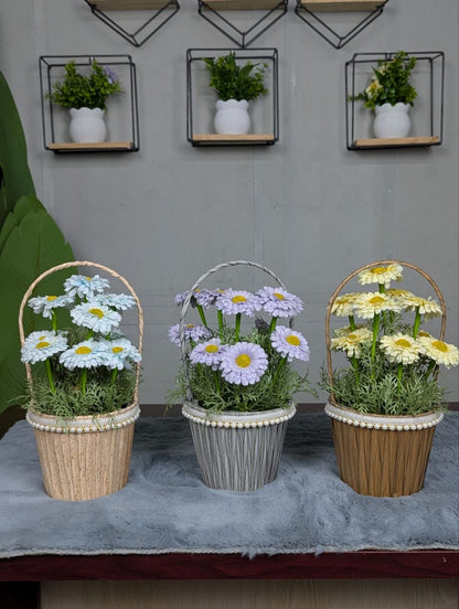Daisy Pearl Basket Arrangement