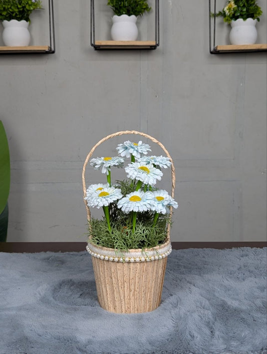 Daisy Pearl Basket Arrangement